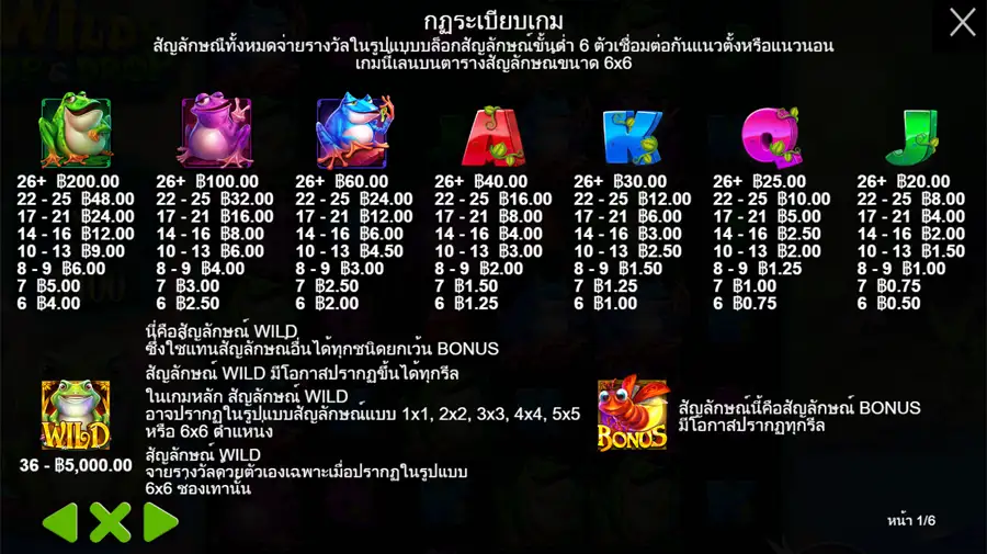 สัญลักษณ์ในเกม Wild Hop&Drop